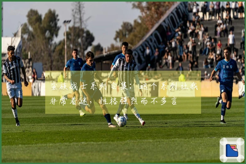 蛮族战士系列合集：这个系列让我非常着迷，性格强烈而不多言